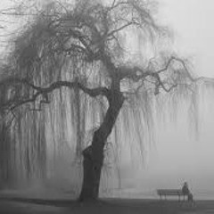 Pierce the veil - hold on till may