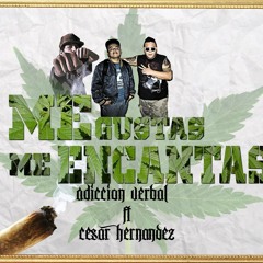 Me Gustas Me Encantas - Cesar Hdz Ft. Adiccion Verbal (KrashGraterAps) - Religion Del Vicio
