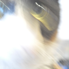 228 crew FIRE MONEY SHIT YUNG TUP GUCCI BREKFAST