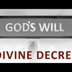 The Beginning and the End with Omar Suleiman - Divine Decree (Ep10)-J7AdlXzRZlc