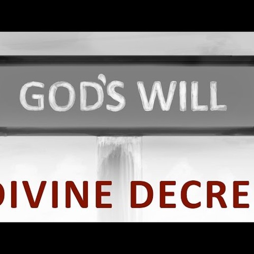 The Beginning and the End with Omar Suleiman - Divine Decree (Ep10)-J7AdlXzRZlc