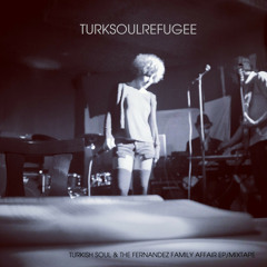 TURKISH SOUL & THE FERNANDEZ FAMILY AFFAIR EP/MIXTAPE