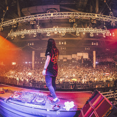 Skrillex Live @ Lollapalooza 2014
