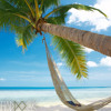 Soothe Your Soul - Tropical Spring