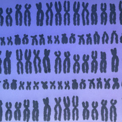From lab bench to front bench: Opportunities for scientists?