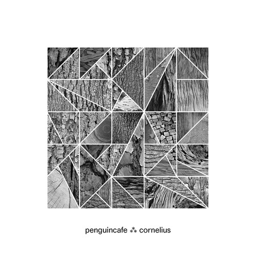Penguin Cafe "The Track Of The Dull Sun" - Boiler Room Debuts