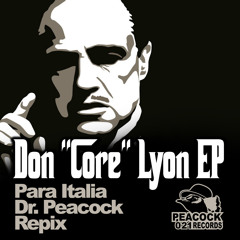 Dr. Peacock - Lost In Space (Para Italia Remix)