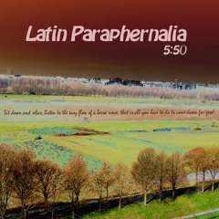 RHINISH TUNES  -  Latin Paraphernalia