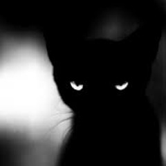 Kity In The Dark Techno Mix- Matt Roots