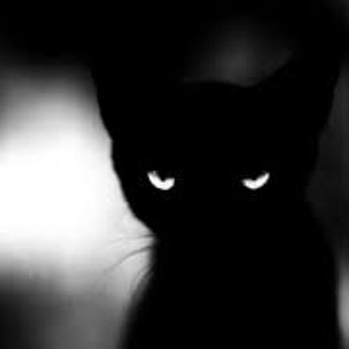 Kity In The Dark Techno Mix- Matt Roots