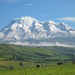 Cuentos de mi tierra. Toros desaparecen en Chimborazo