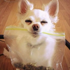 Charodey Jeddy Aka Vobr - Mob Vs Mob