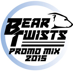 Fake Disco Promo Mix 2015