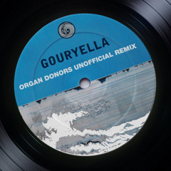 Gouryella - Organ Donors Unofficial FREE Remix