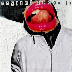 Crystal Seagulls - The Stroke