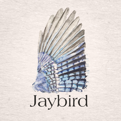 Stream Catfish John by Jaybird Listen online for free on SoundCloud