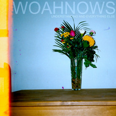 Woahnows - Puncher