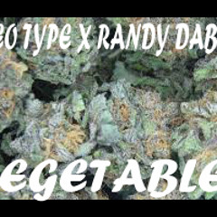 Vegetables X Randy Dabbage and Stereo TYPE