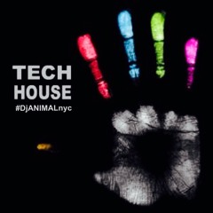 TECH HOUSE