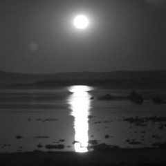 Stillness - Words and Music by Mark Growden - Performed by Matthew Curtis