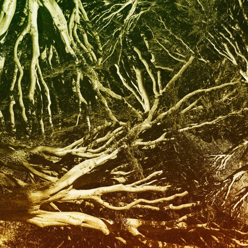 A1 - Jascha Hagen - Once I Had Love