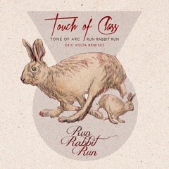 Tone Of Arc - Run Rabbit Run (Eric Volta Down The Rabbit Hole Mix)