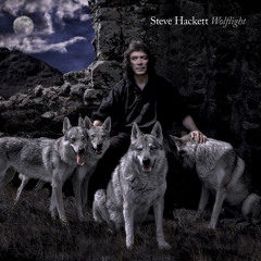 STEVE HACKETT - The Wheel's Turning