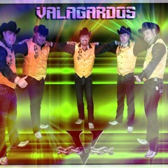 Valagardos De Chihuahua Que Bello