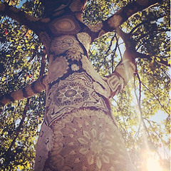 Mississippi Song (Rising Appalachia cover)