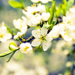 Jay Latune - Feelings [BUY=FREE DOWNLOAD]