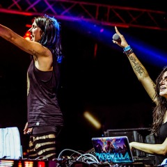 Sunburn Goa Krewella 2014 SET