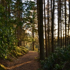 Knife Edge (Original)