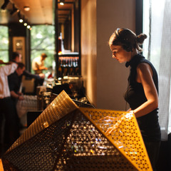 Dutchess Chilled House Mix