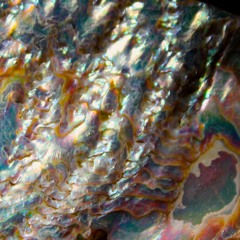 Ebb & Flow