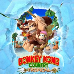 60- Donkey Kong Country Theme
