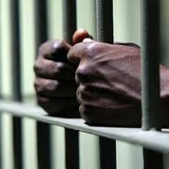 Free My Niggas