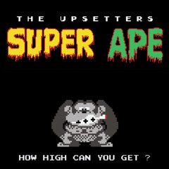 Zion's Bloop (The Upsetters 8-bit cover)