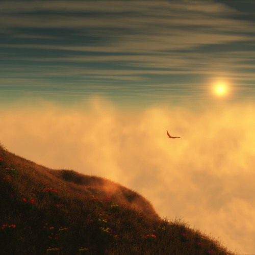 Sky Waves