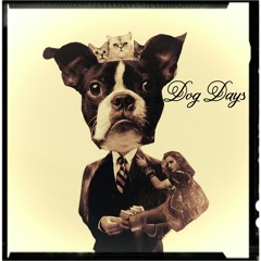 The Tigers Have Found Me