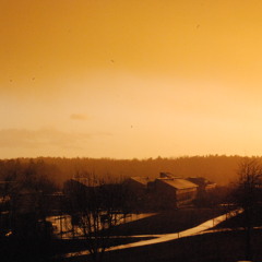 Kornett Peter Kulfeldt