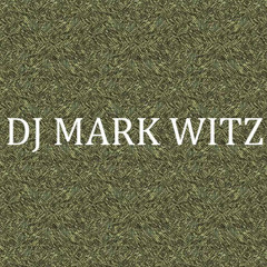 DJ MARK WITZ + HOUSE MUSIC = THIS MIX!