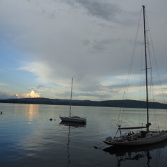 First Song (Charlie Haden)