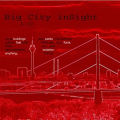 RHINISH TUNES  -  Big City inSight