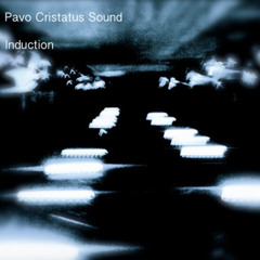 Facing The Comedown In The Cruel Light Of Dawn