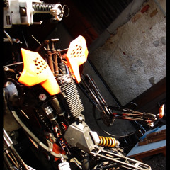 ROBOTS