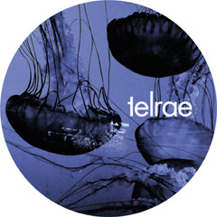 Cio D'Or - And On (Telrae 026)