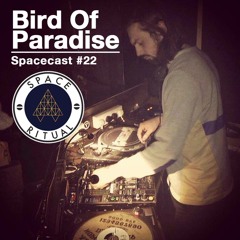 Spacecast #22 Bird Of Paradise