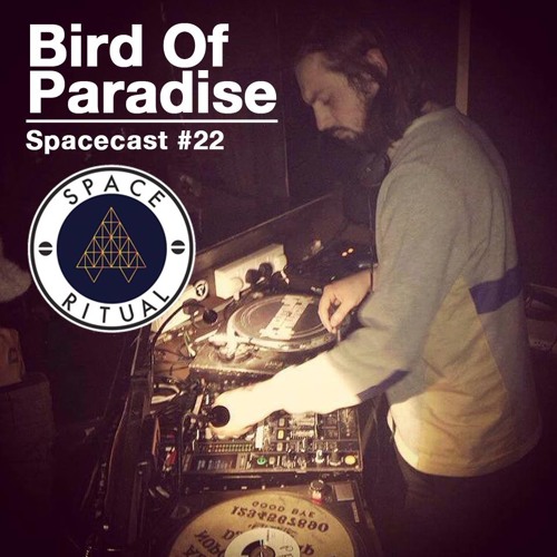 Spacecast #22 Bird Of Paradise