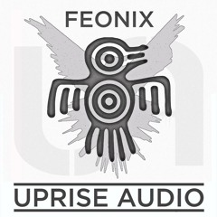 Feonix - Feonix LP (UALP004) [FKOF Promo]