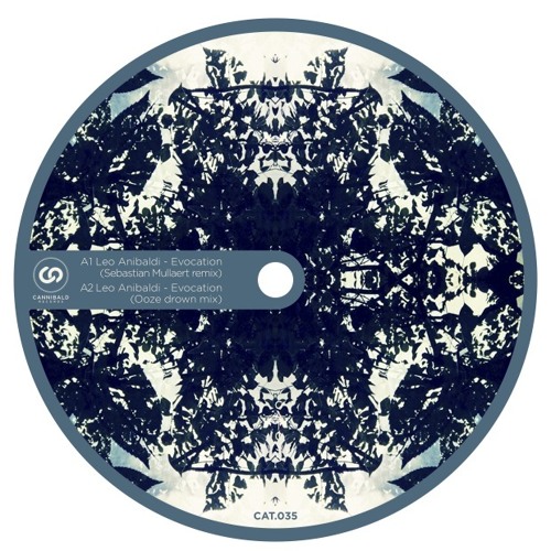 Leo Anibaldi - Evocation (Sebastian Mullaert Remix) Preview